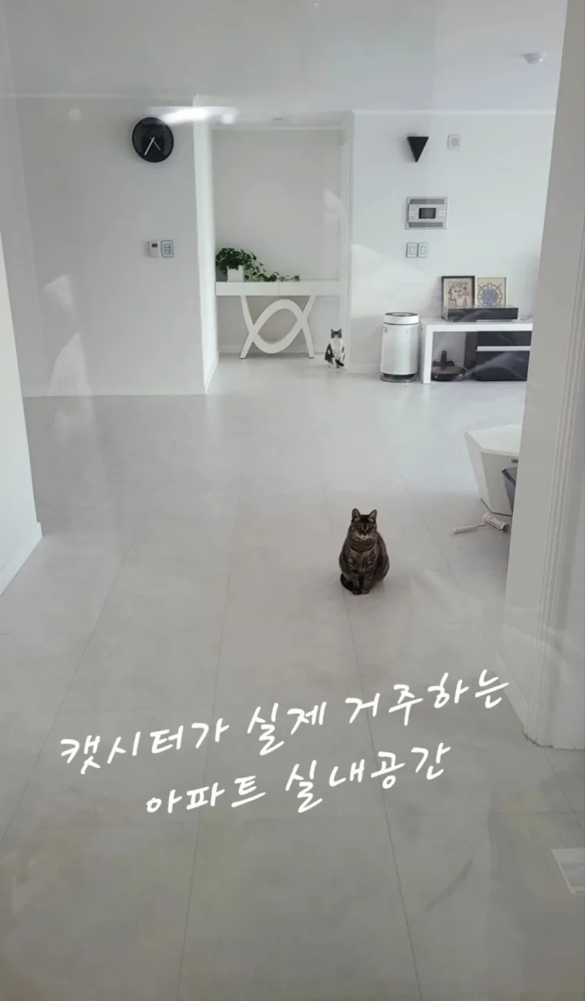 이미지 7