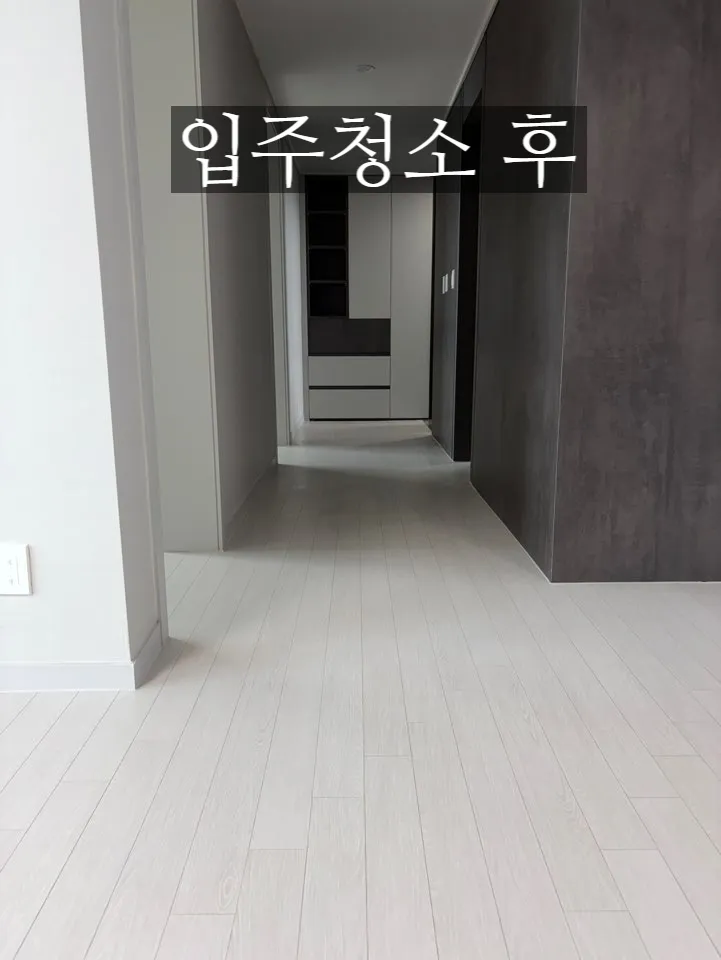 이미지 20