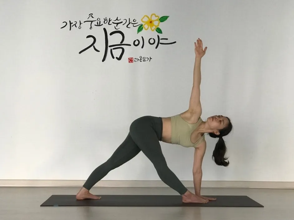 이미지 3