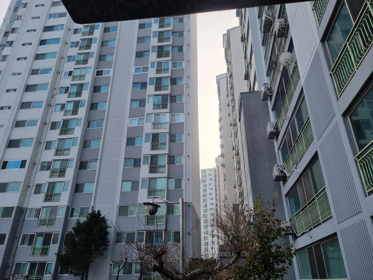 이미지 3