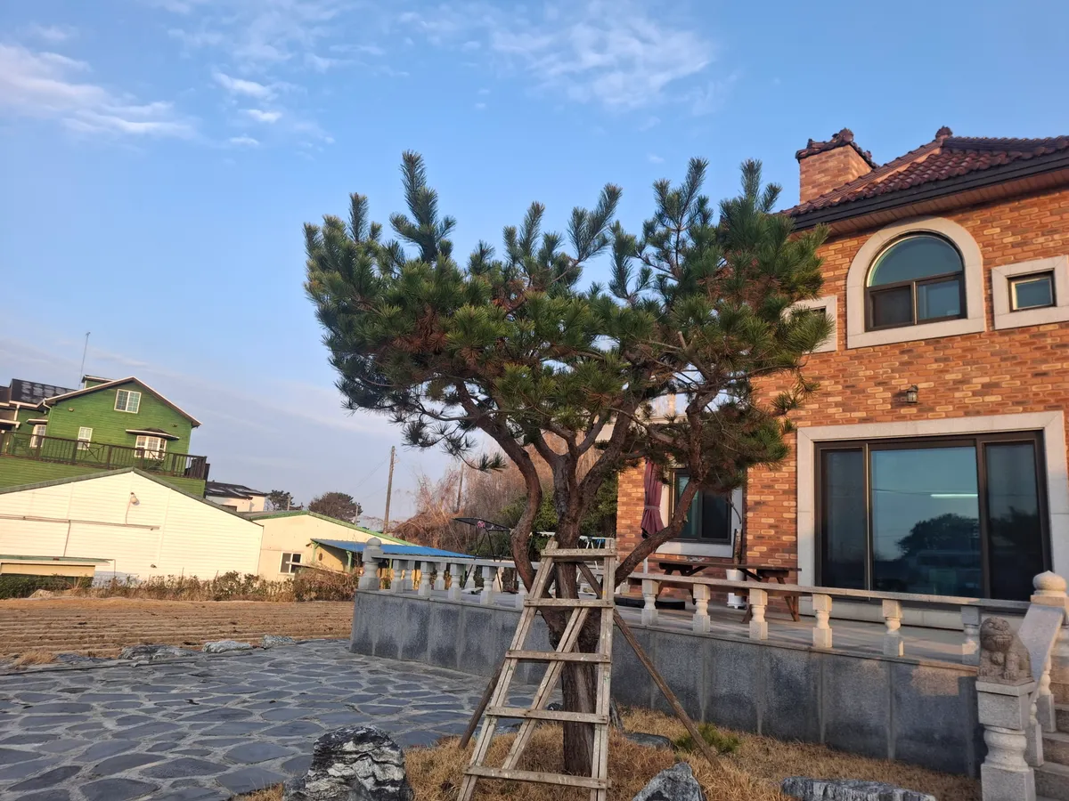 이미지 4