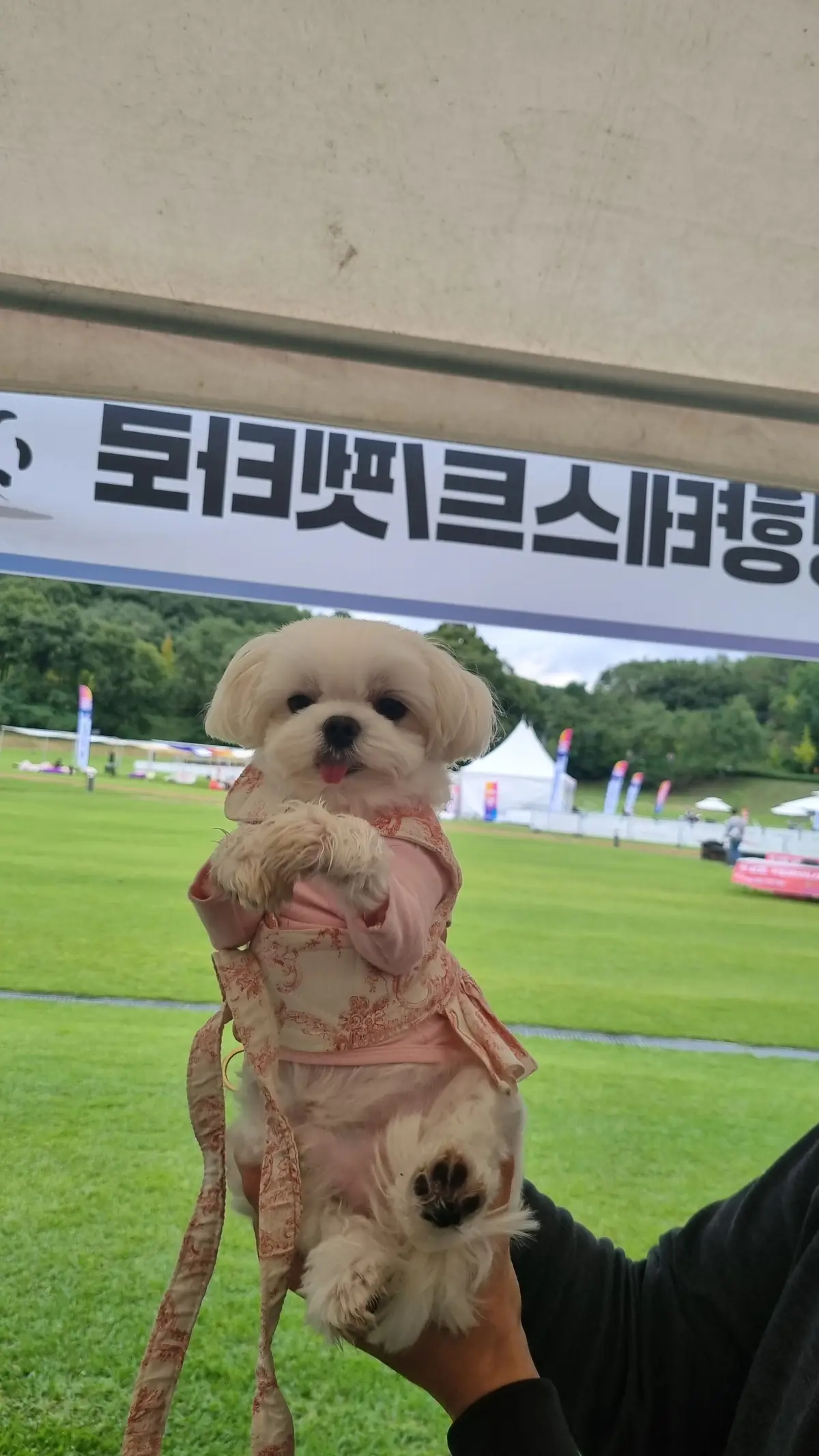 이미지 8