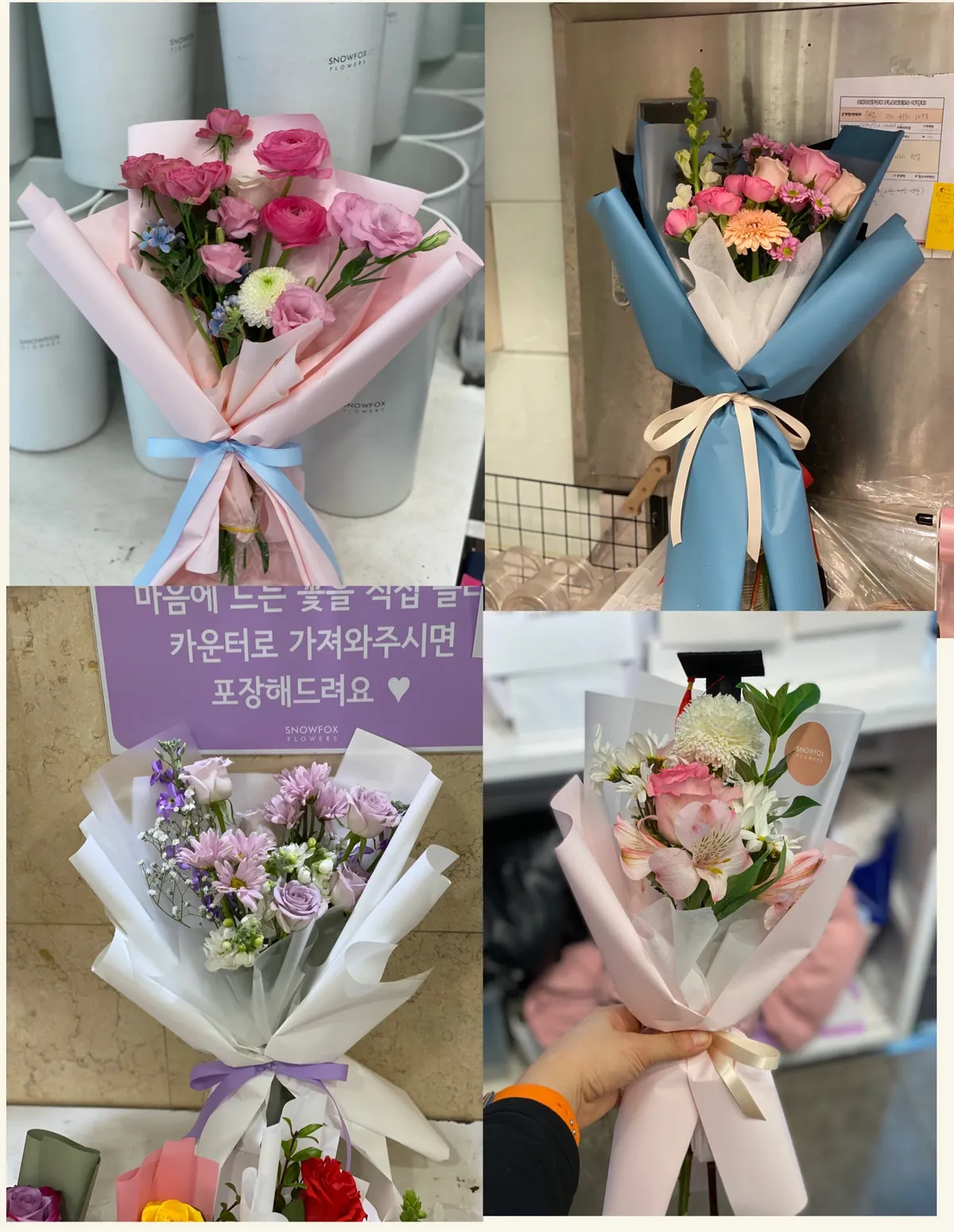 이미지 5