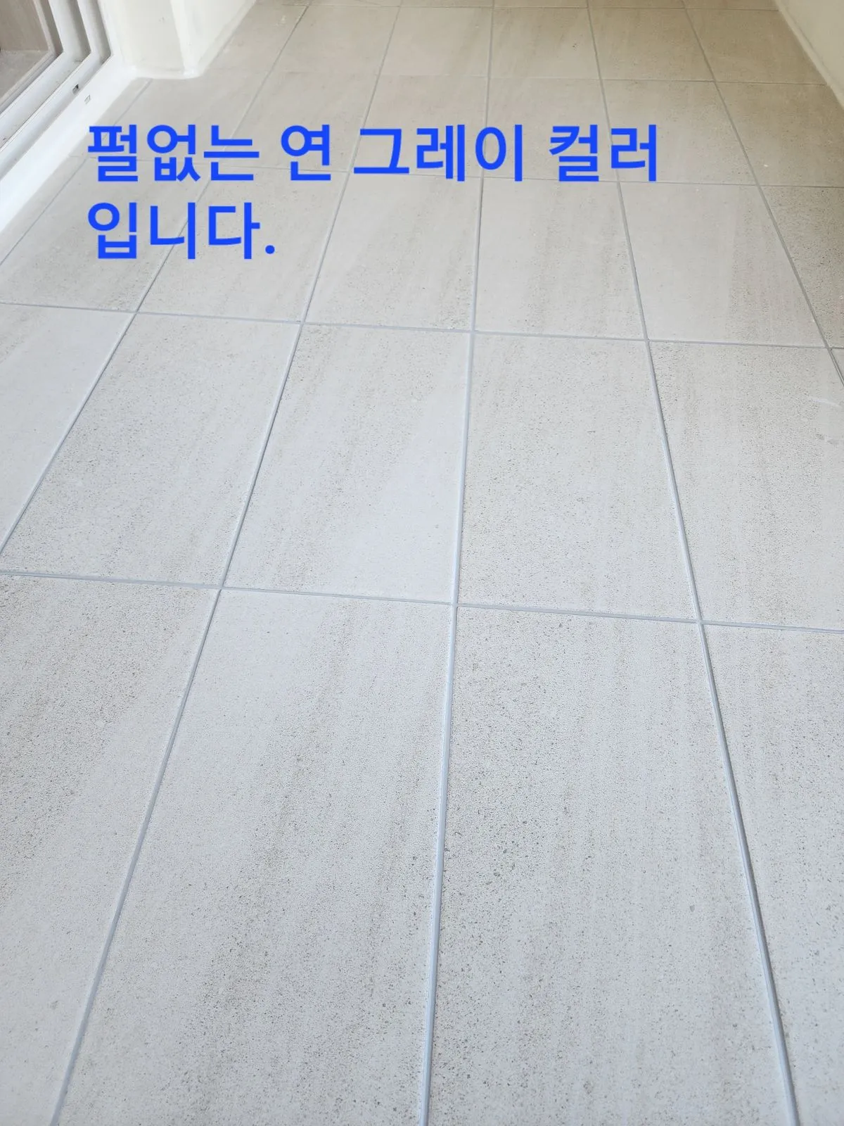 이미지 5