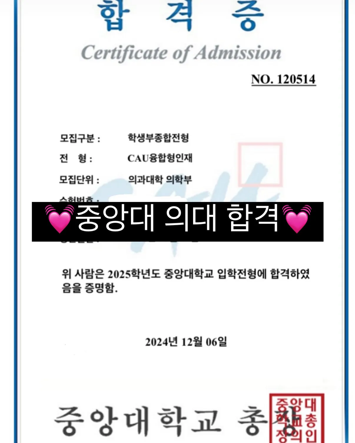 이미지 14