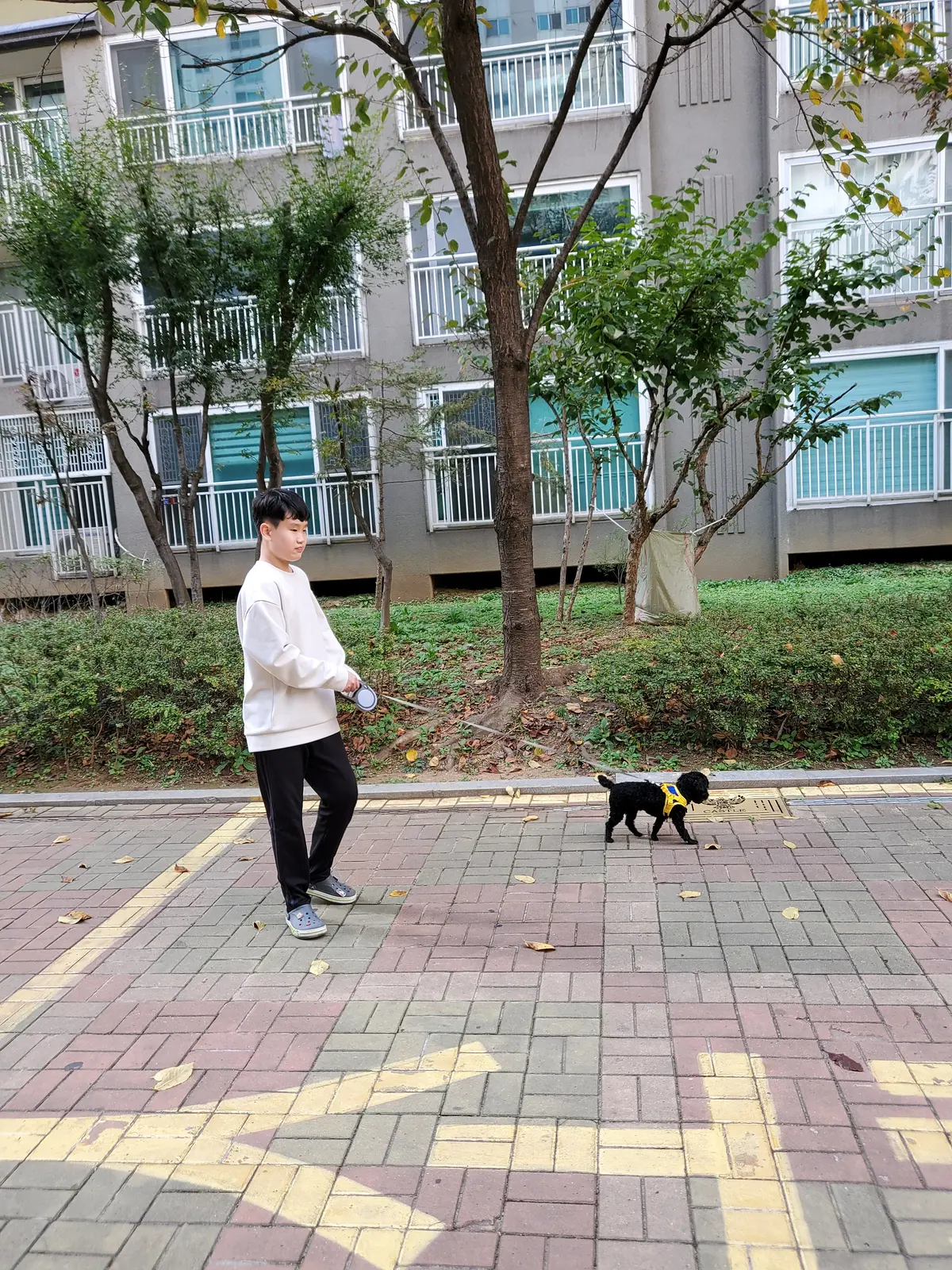 이미지 6