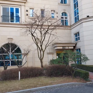 성남 타운하우스, 안전과 조망을 위한 단풍나무 가지치기