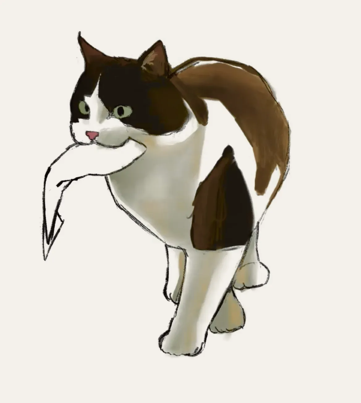 이미지 6