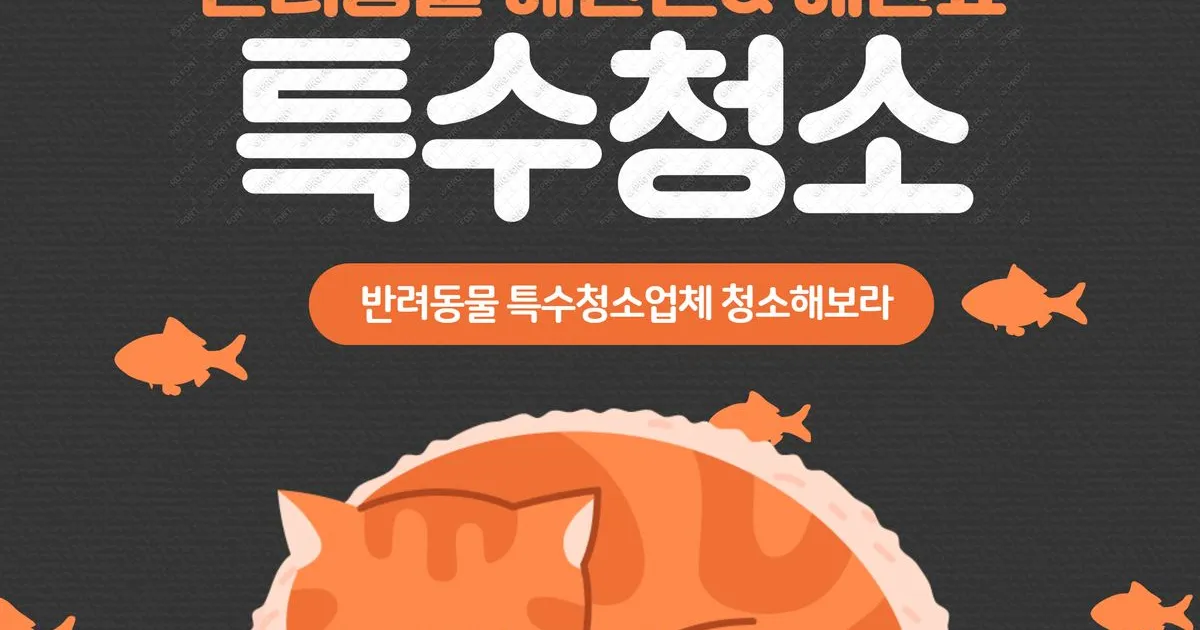 충청북도 청주시 특수청소 / 청소해보라 - 숨고, 숨은고수 충청북도 청주시 특수청소