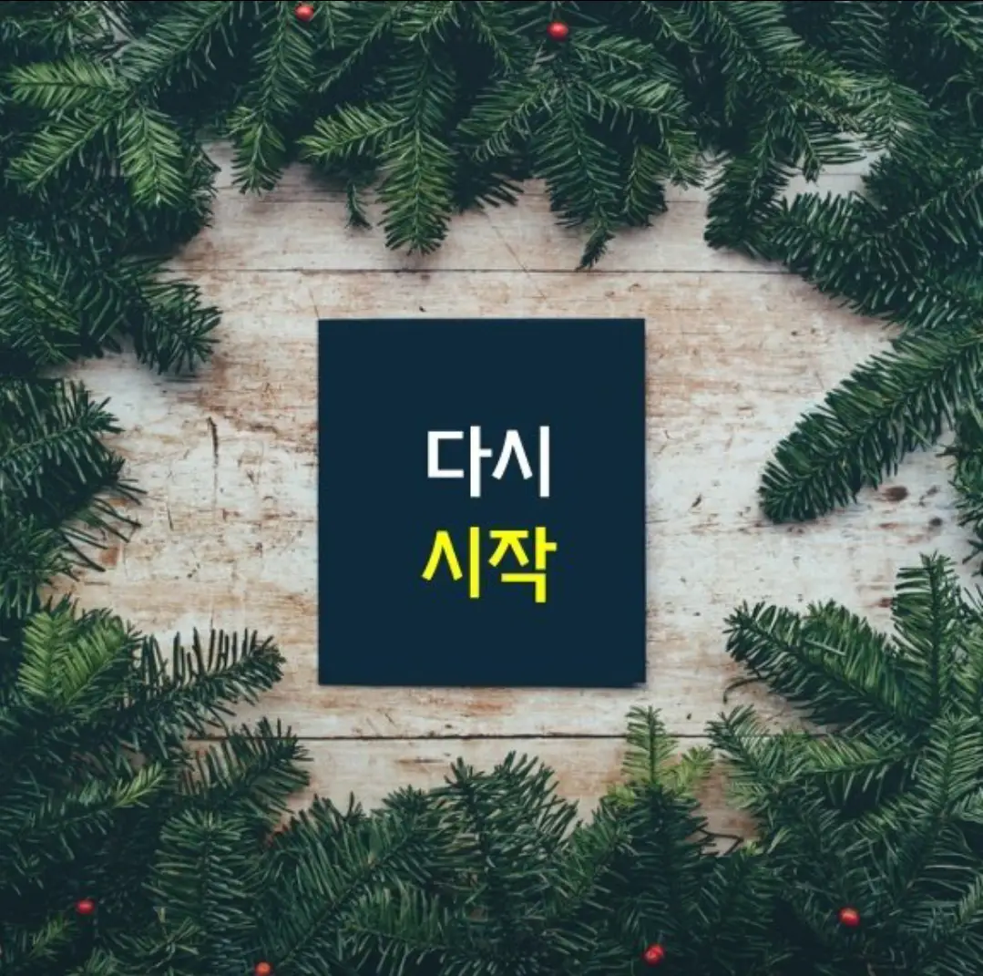 포트폴리오 이미지