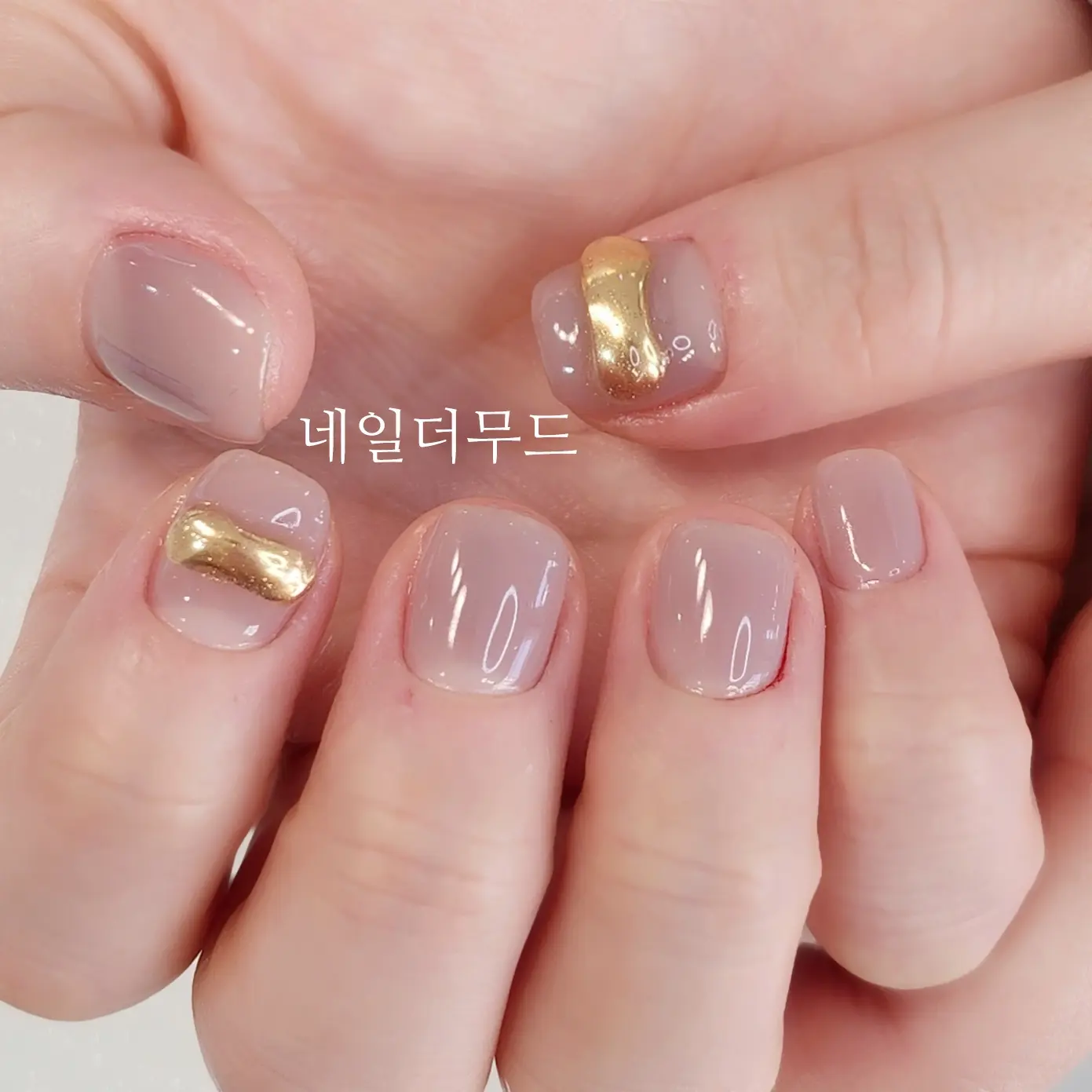 이미지 5