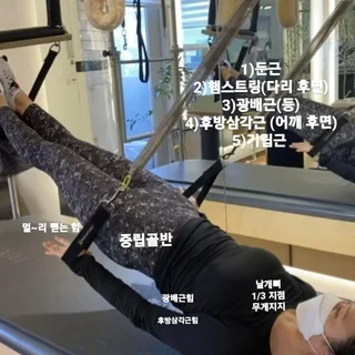 회원님 과정 & 기록🌳