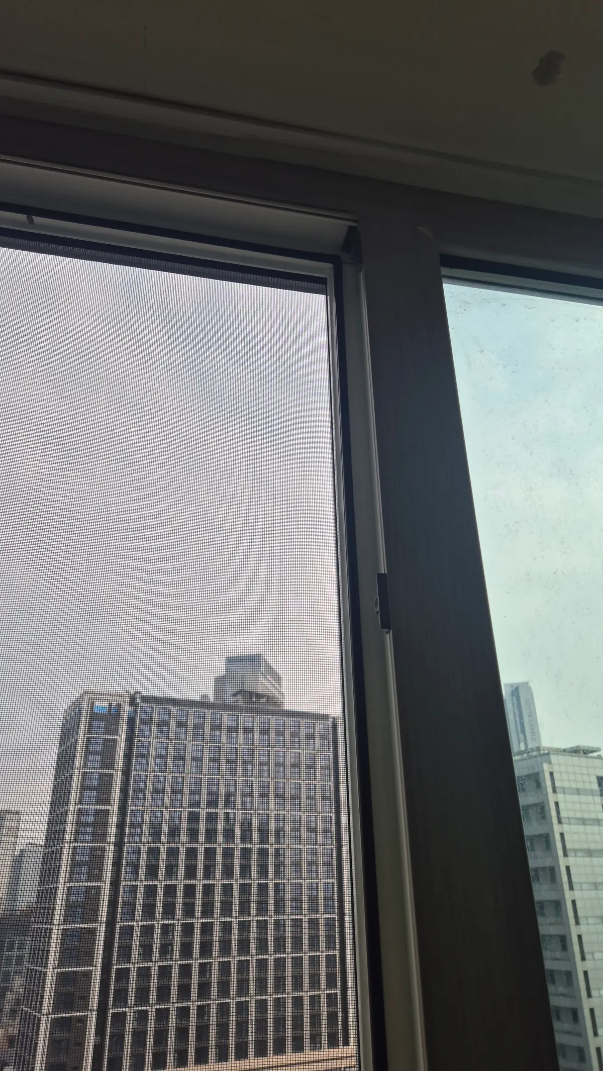 이미지 8