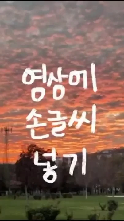 포트폴리오 이미지