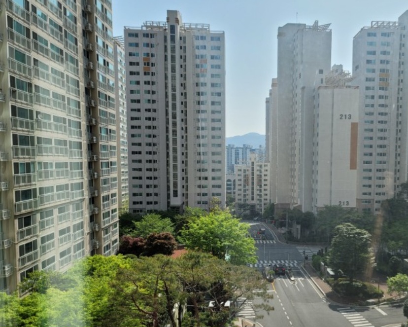 이미지 6