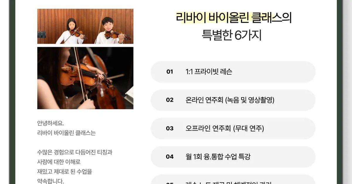 리바이 바이올린 레슨 / 리바이 바이올린 클래스 - 숨고, 숨은고수 리바이 바이올린 레슨