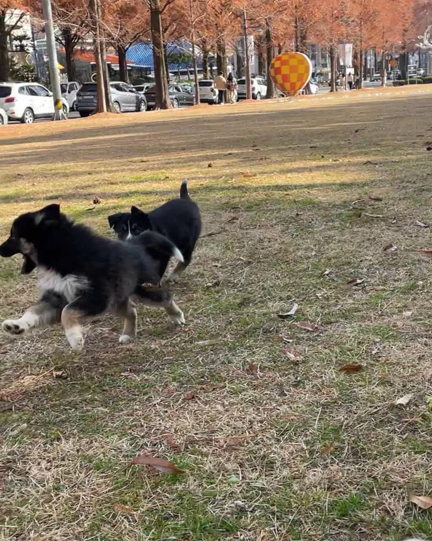 이미지 4