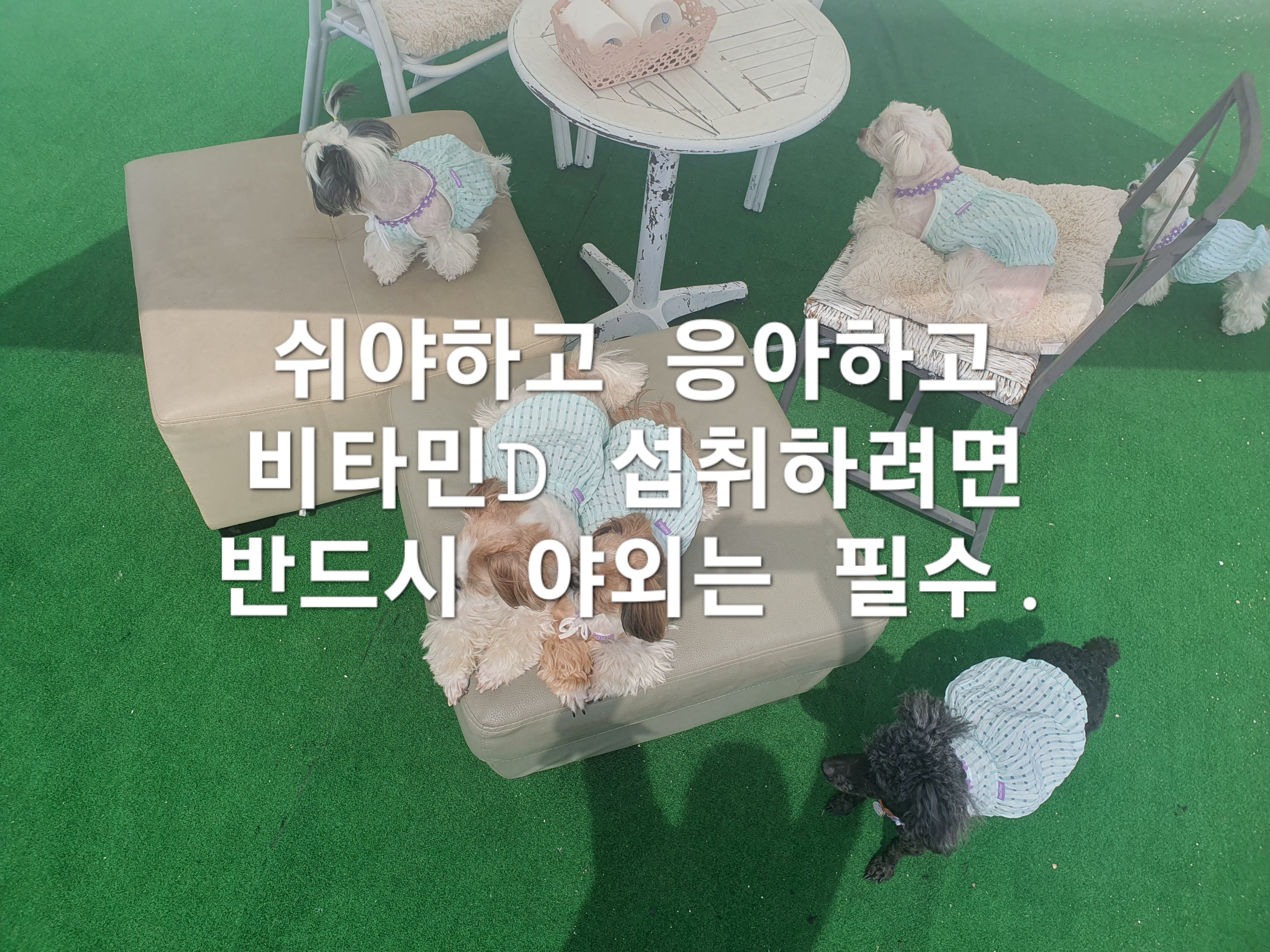 이미지 6