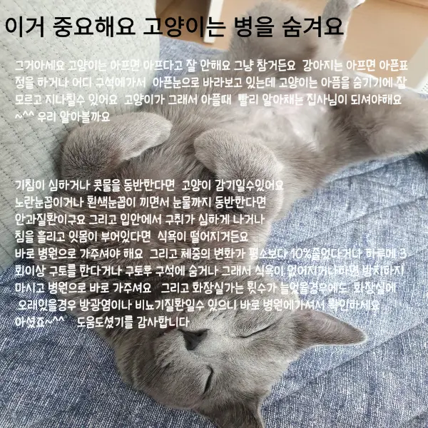 이미지 6