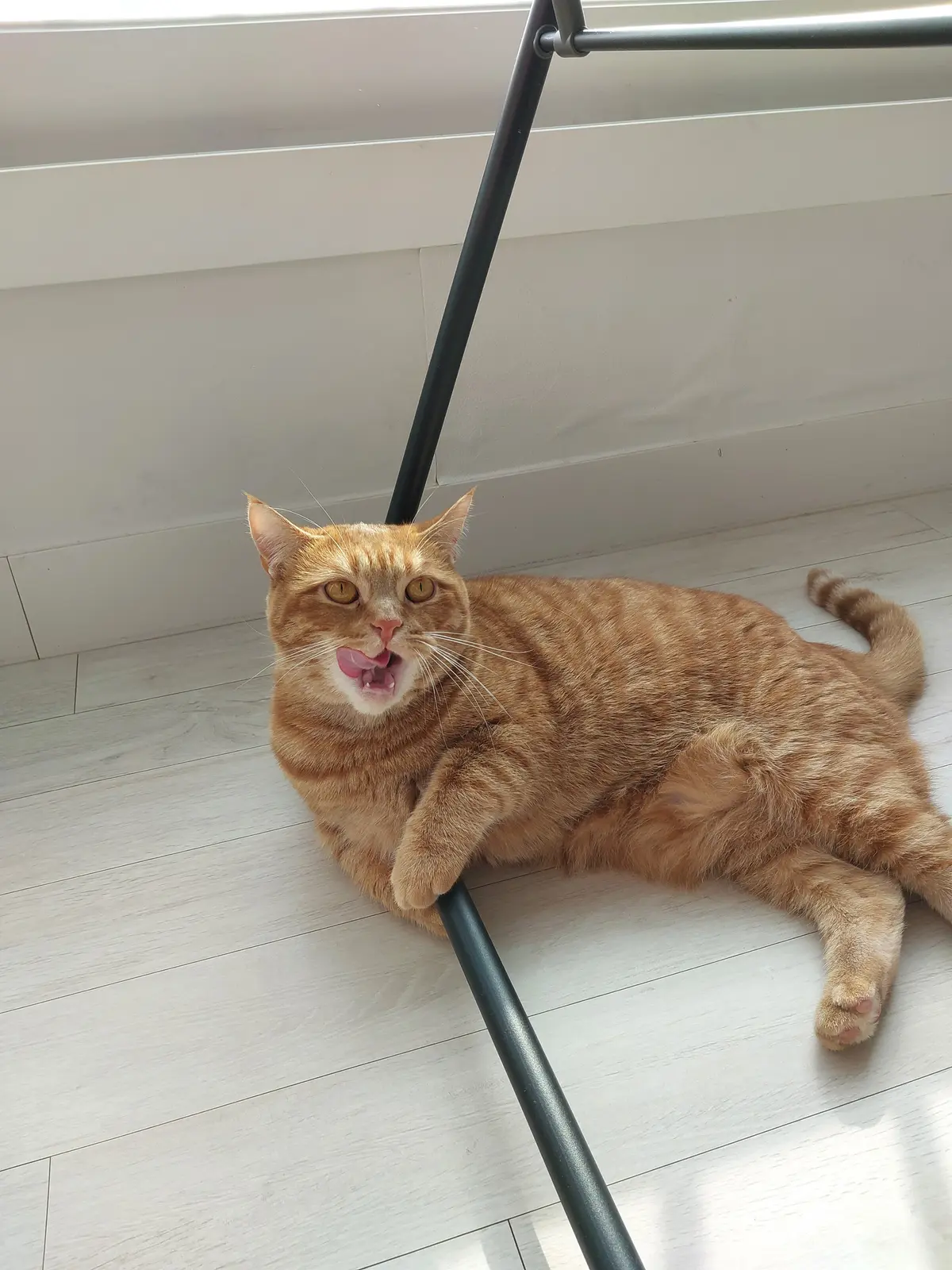 이미지 7