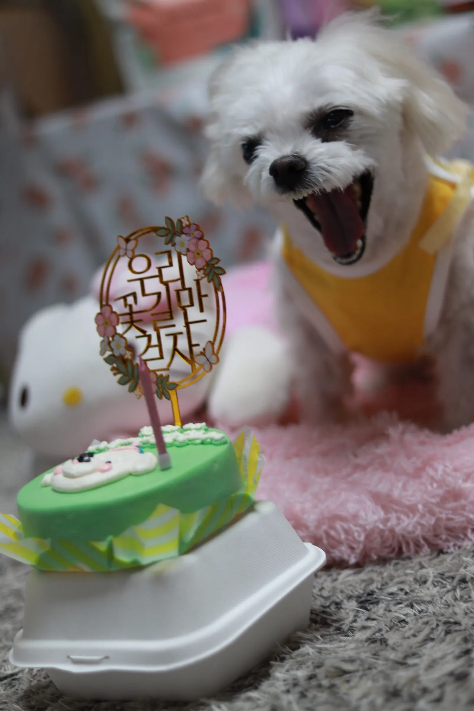 이미지 3