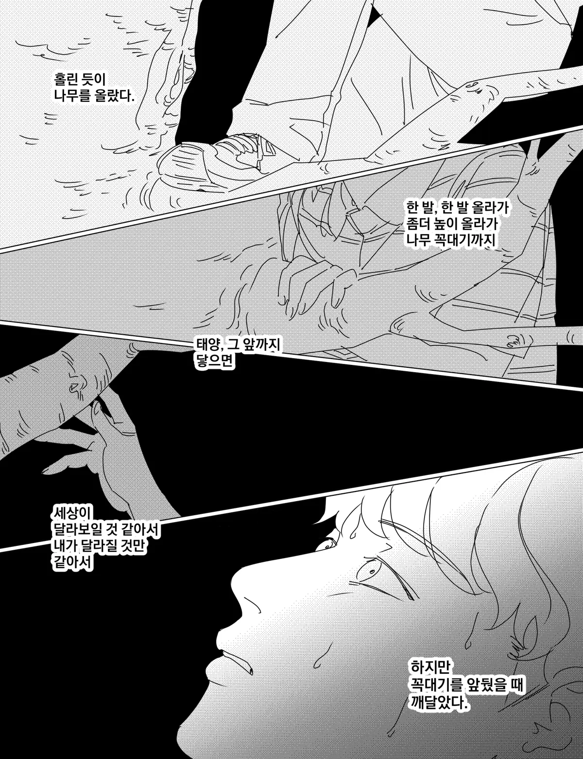 이미지 5