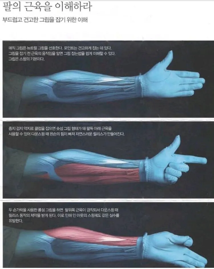 이미지 7
