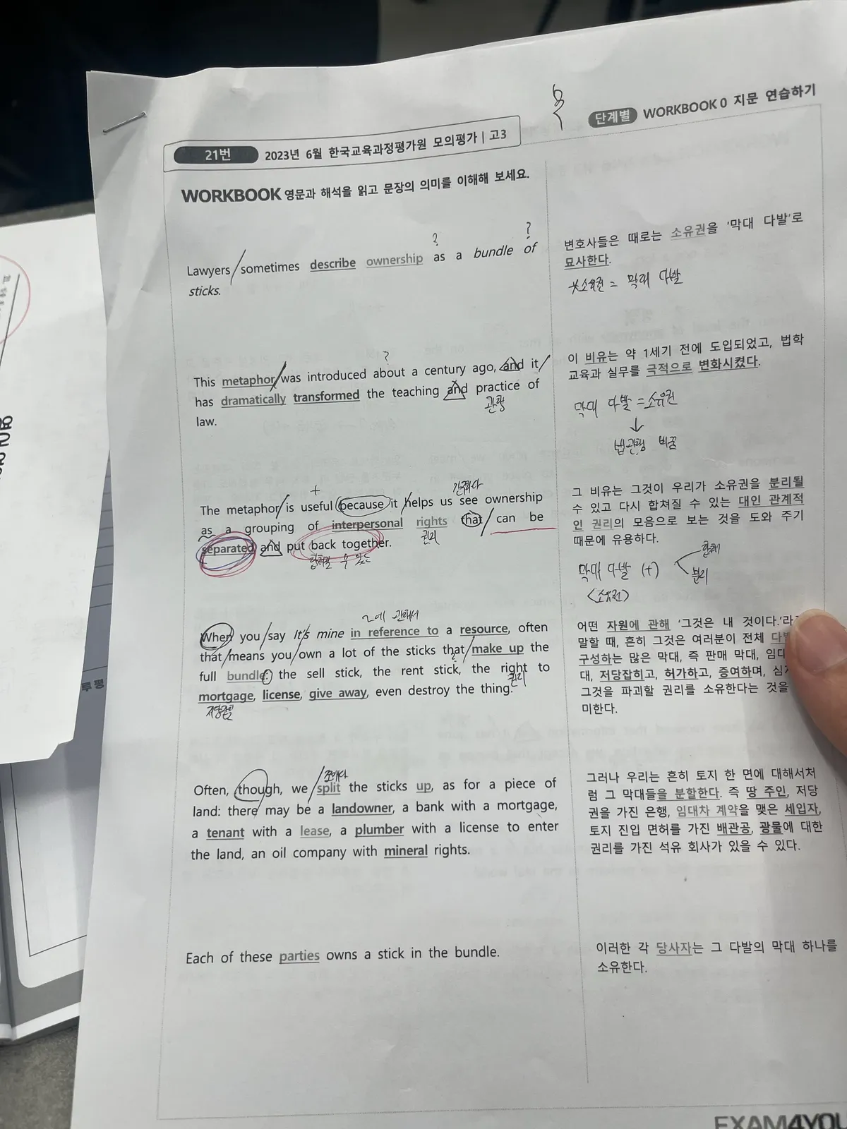 이미지 10