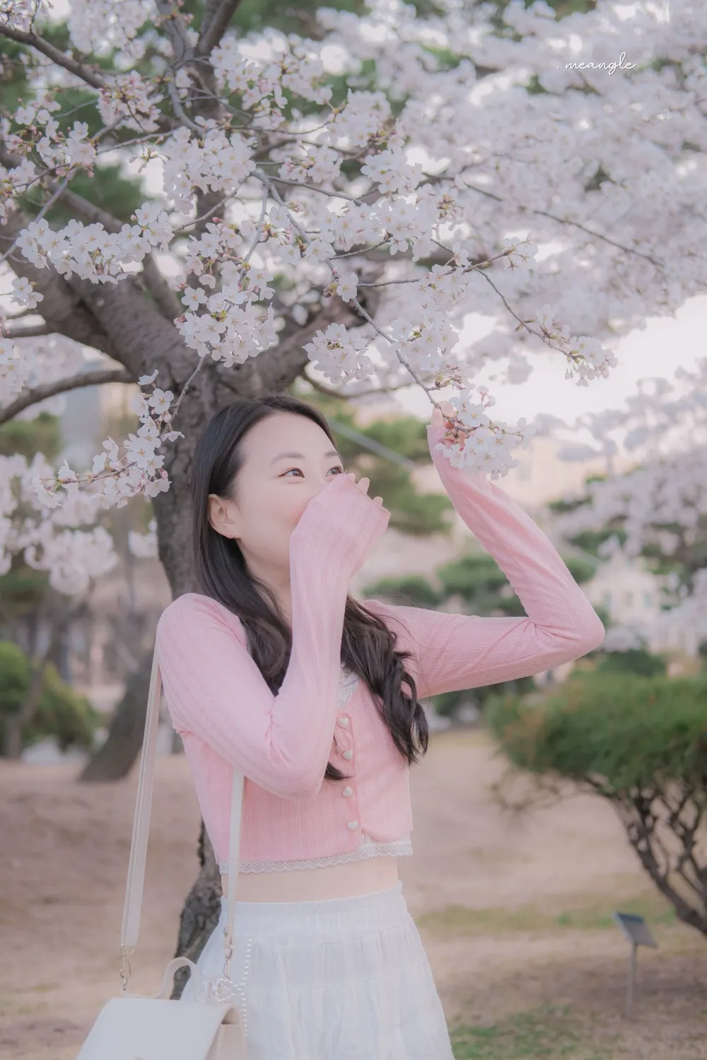 이미지 3