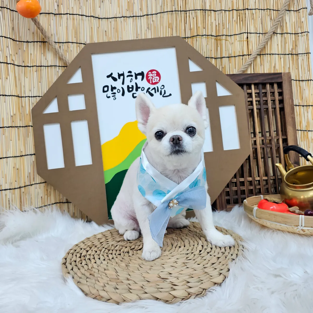 이미지 10