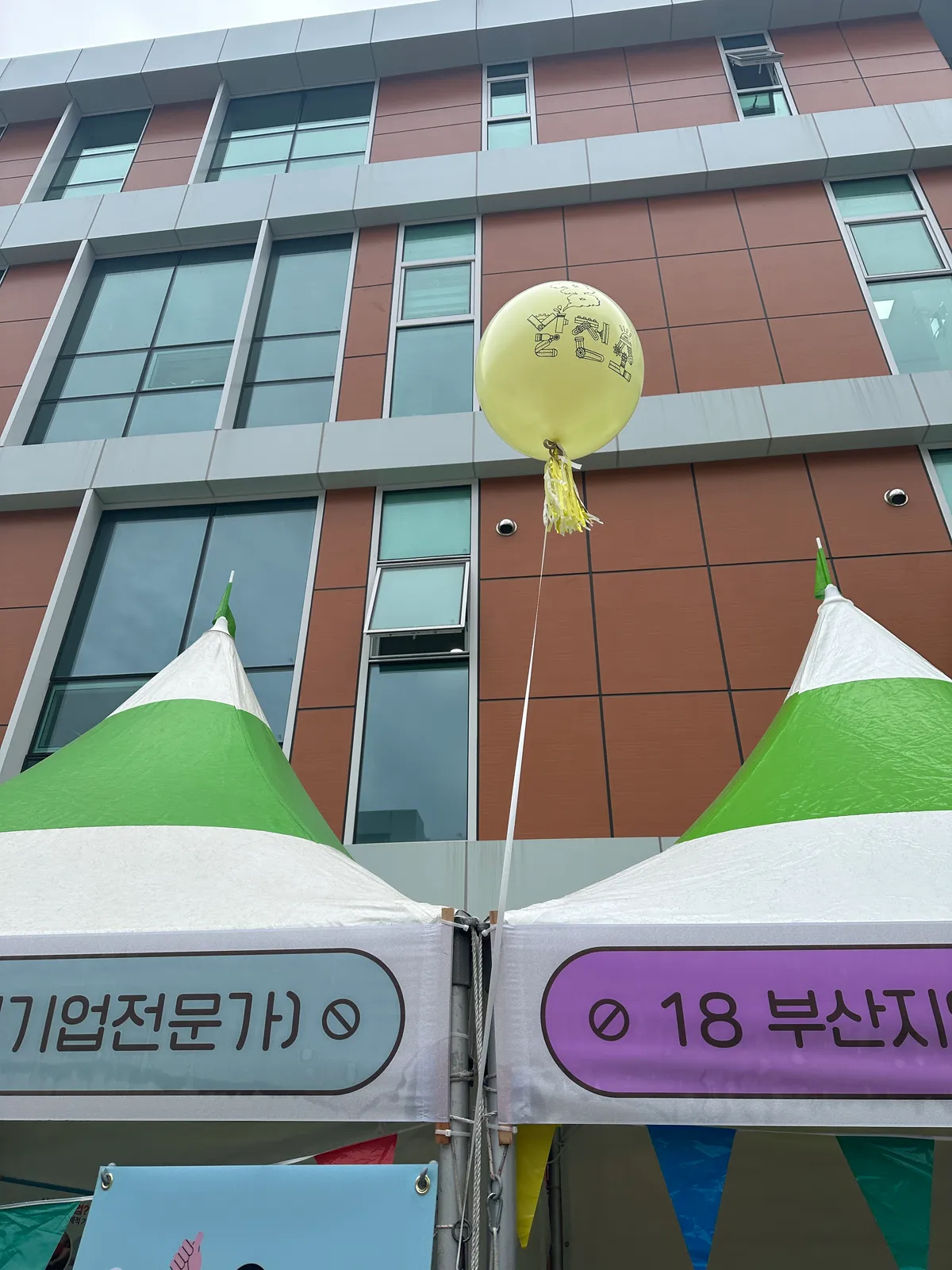 이미지 9
