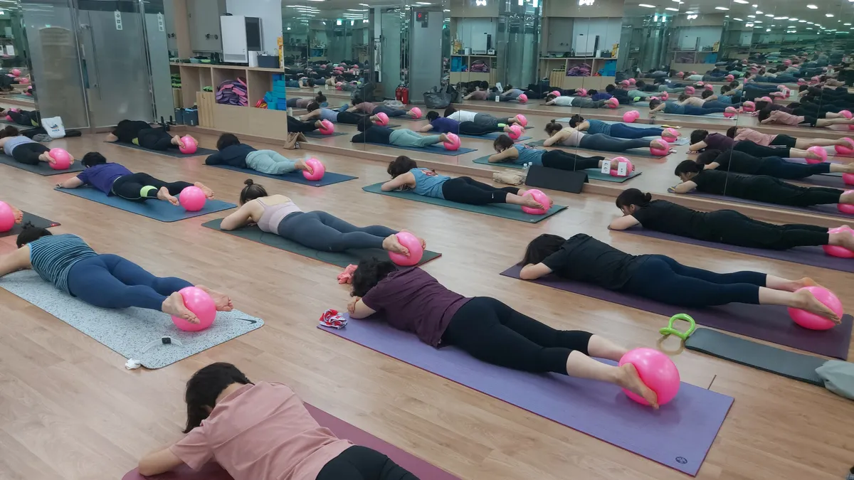 이미지 5