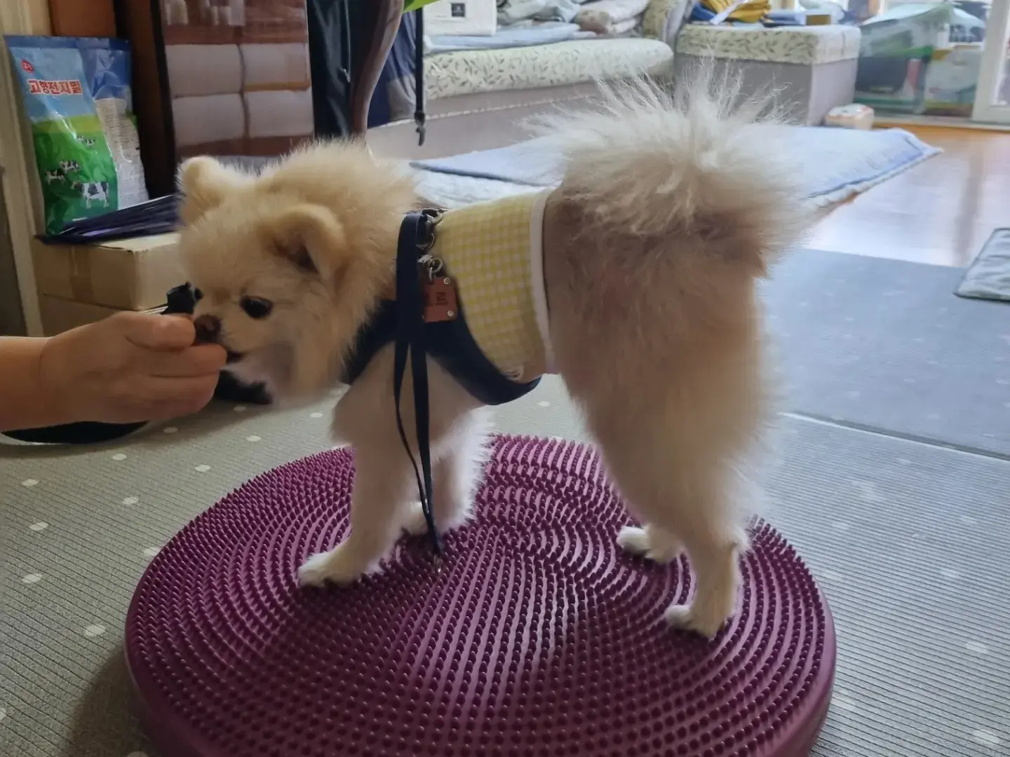 이미지 7