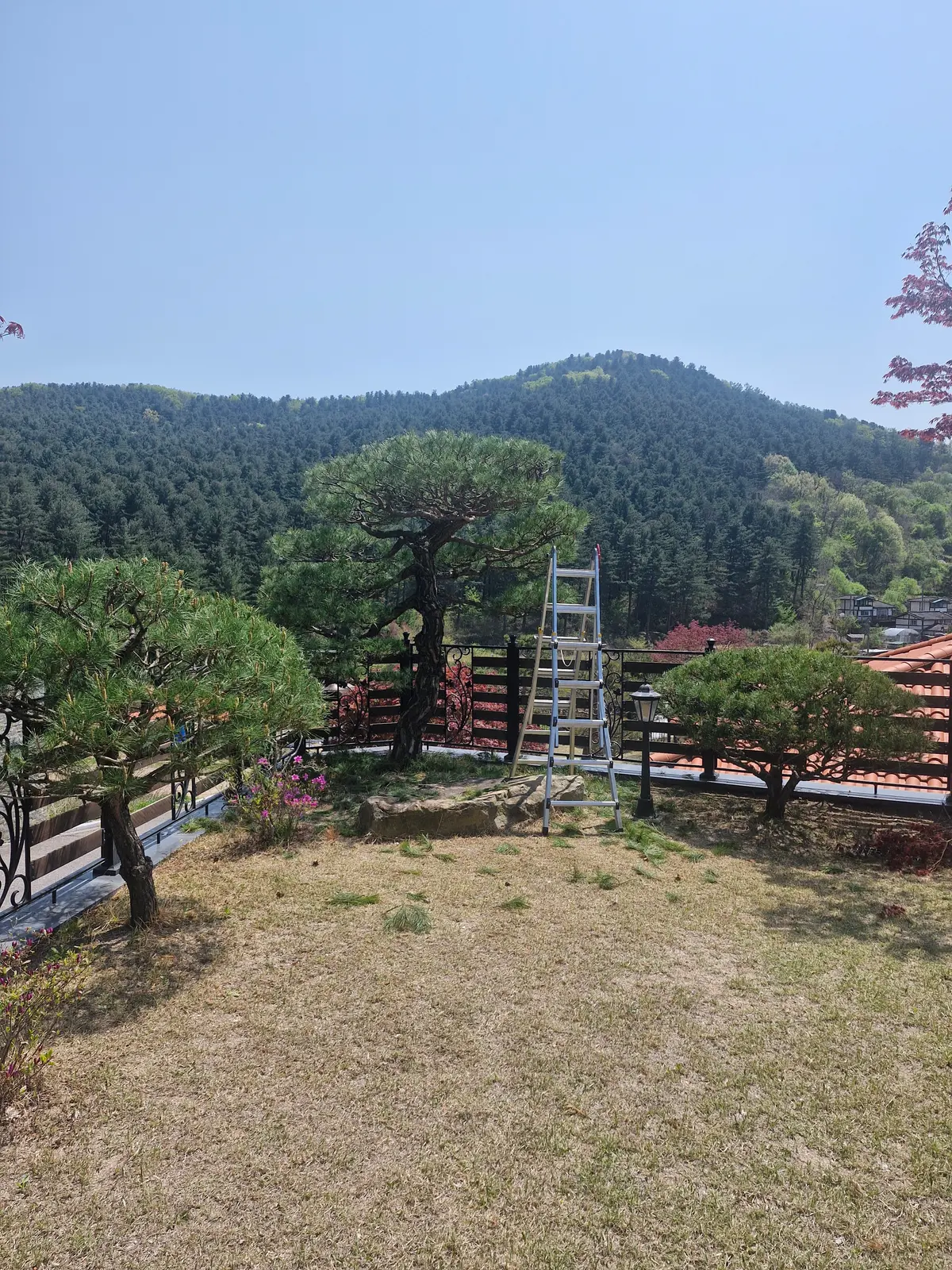 이미지 9
