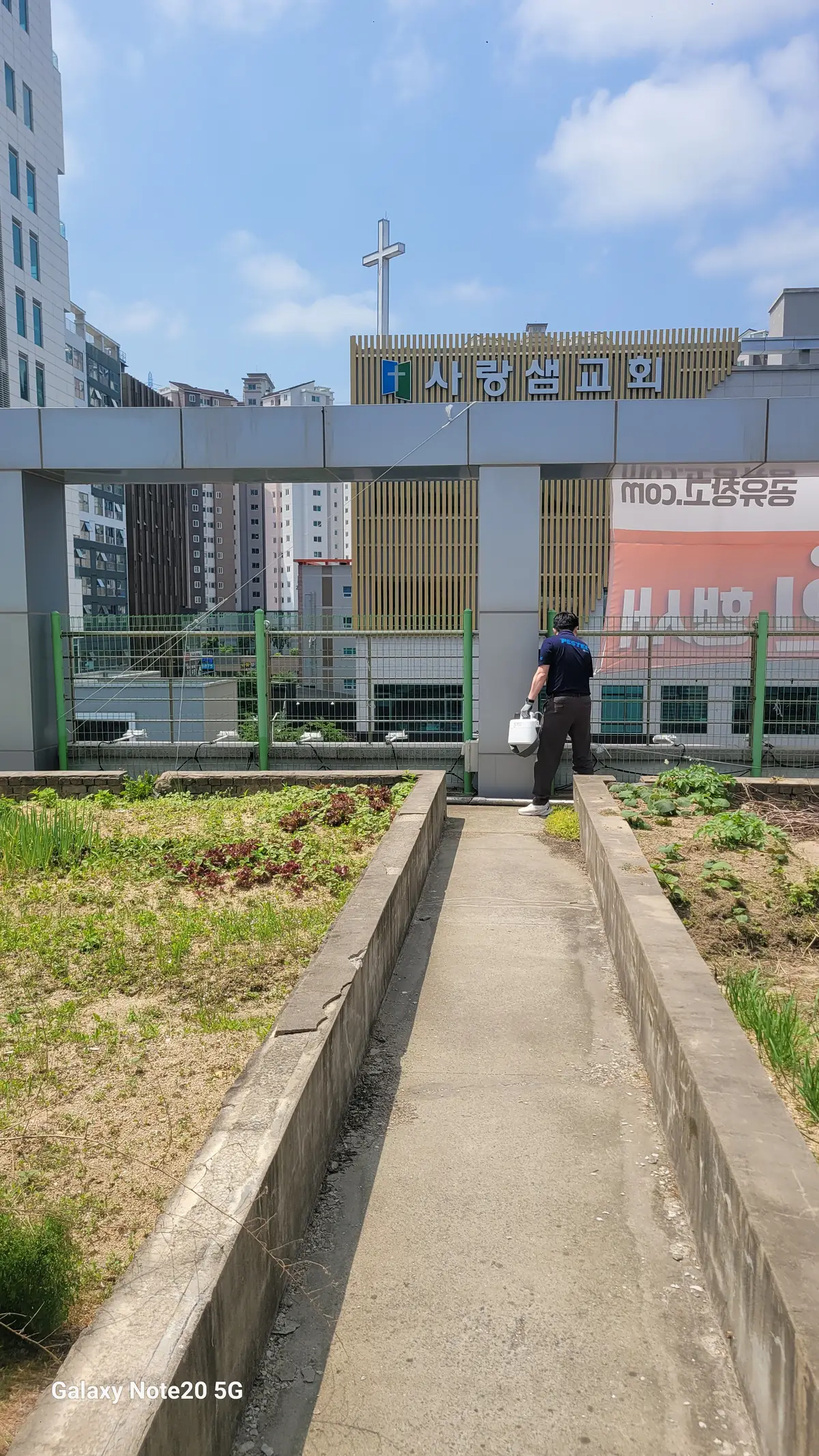 이미지 5