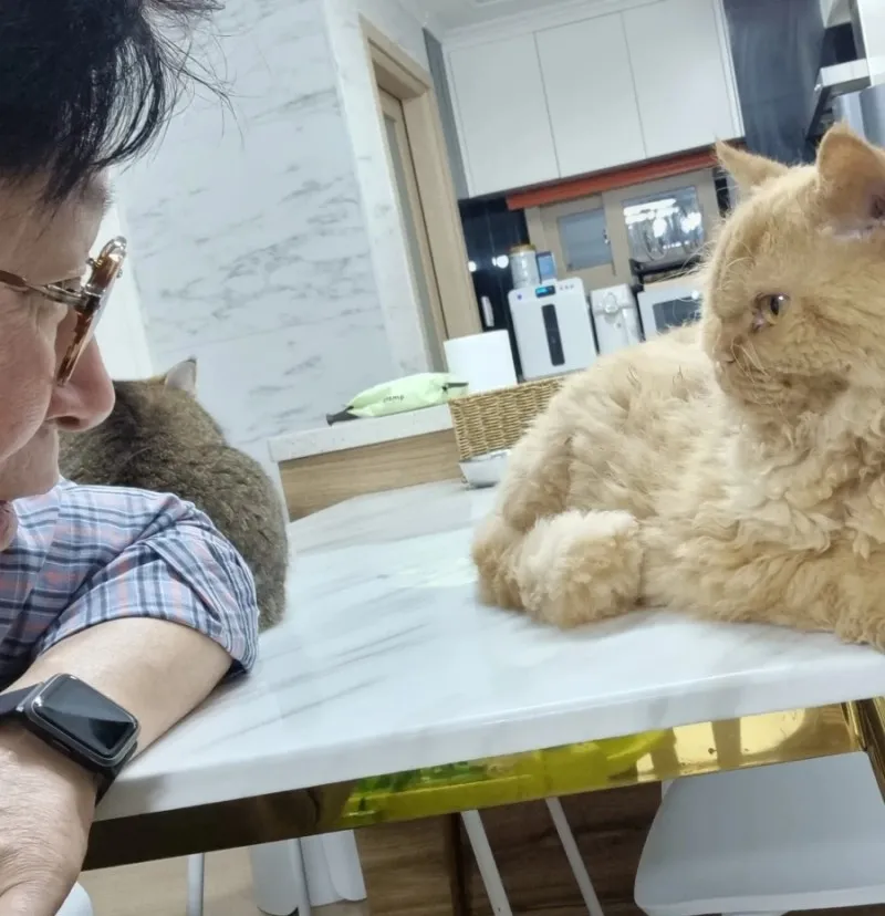 이미지 8