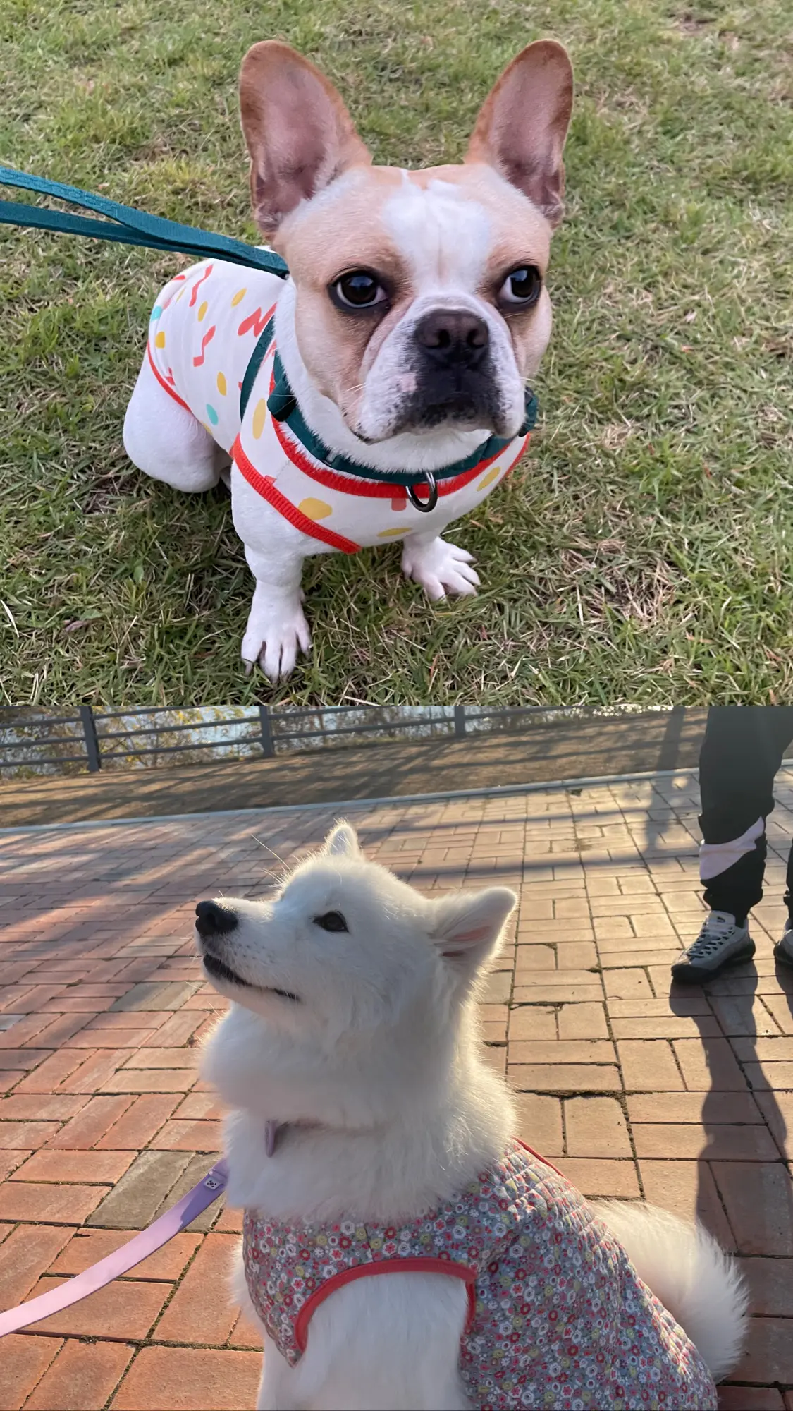 이미지 7