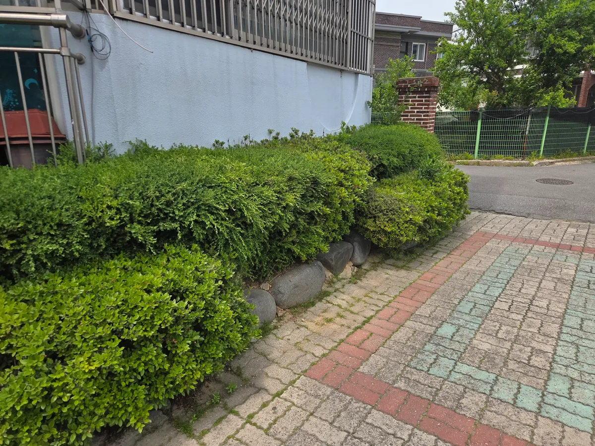이미지 2