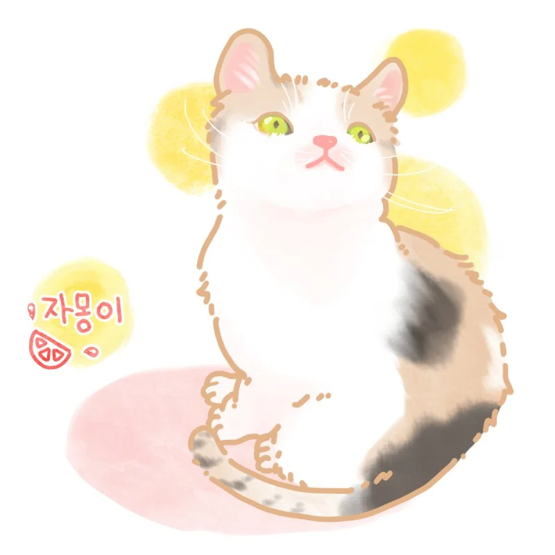 이미지 7