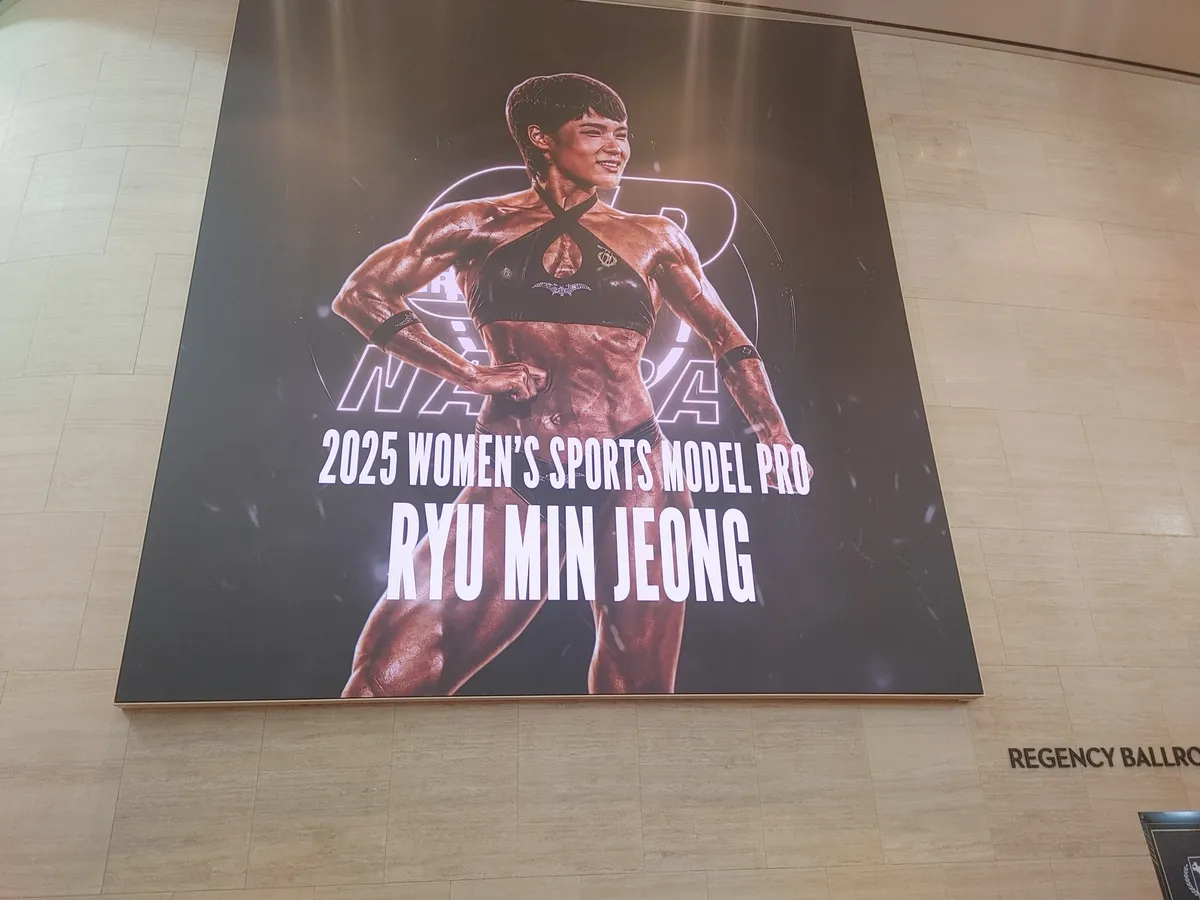 이미지 8