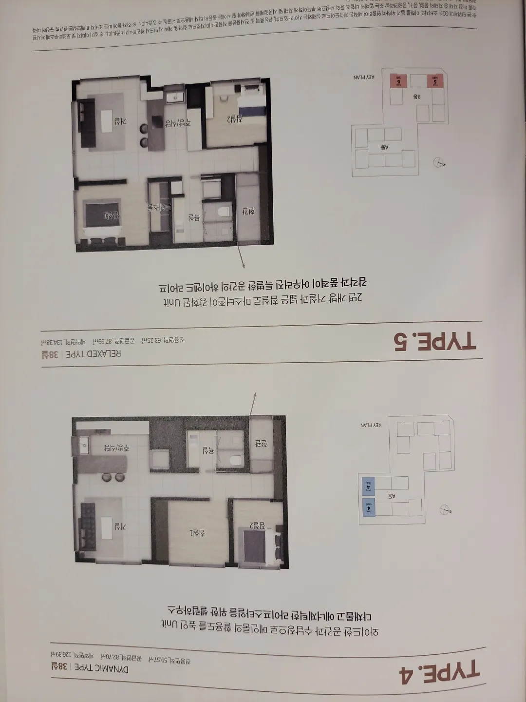 이미지 5
