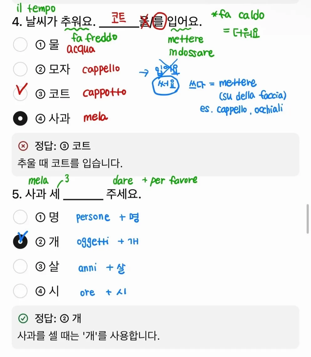 이미지 4