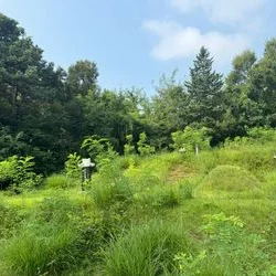 청주시 벌초