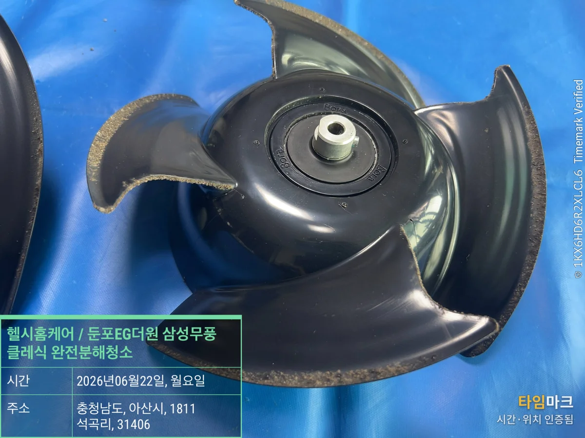 이미지 10