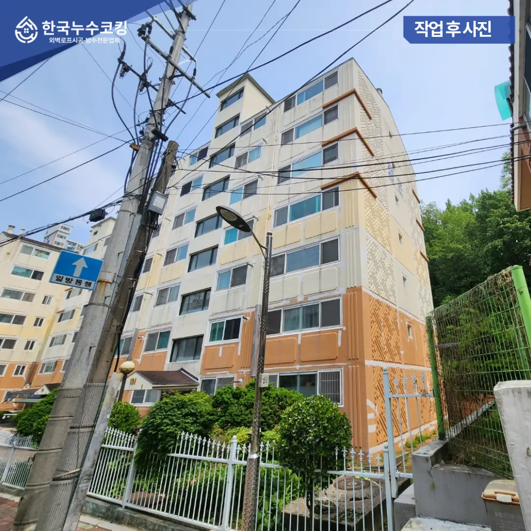 이미지 14