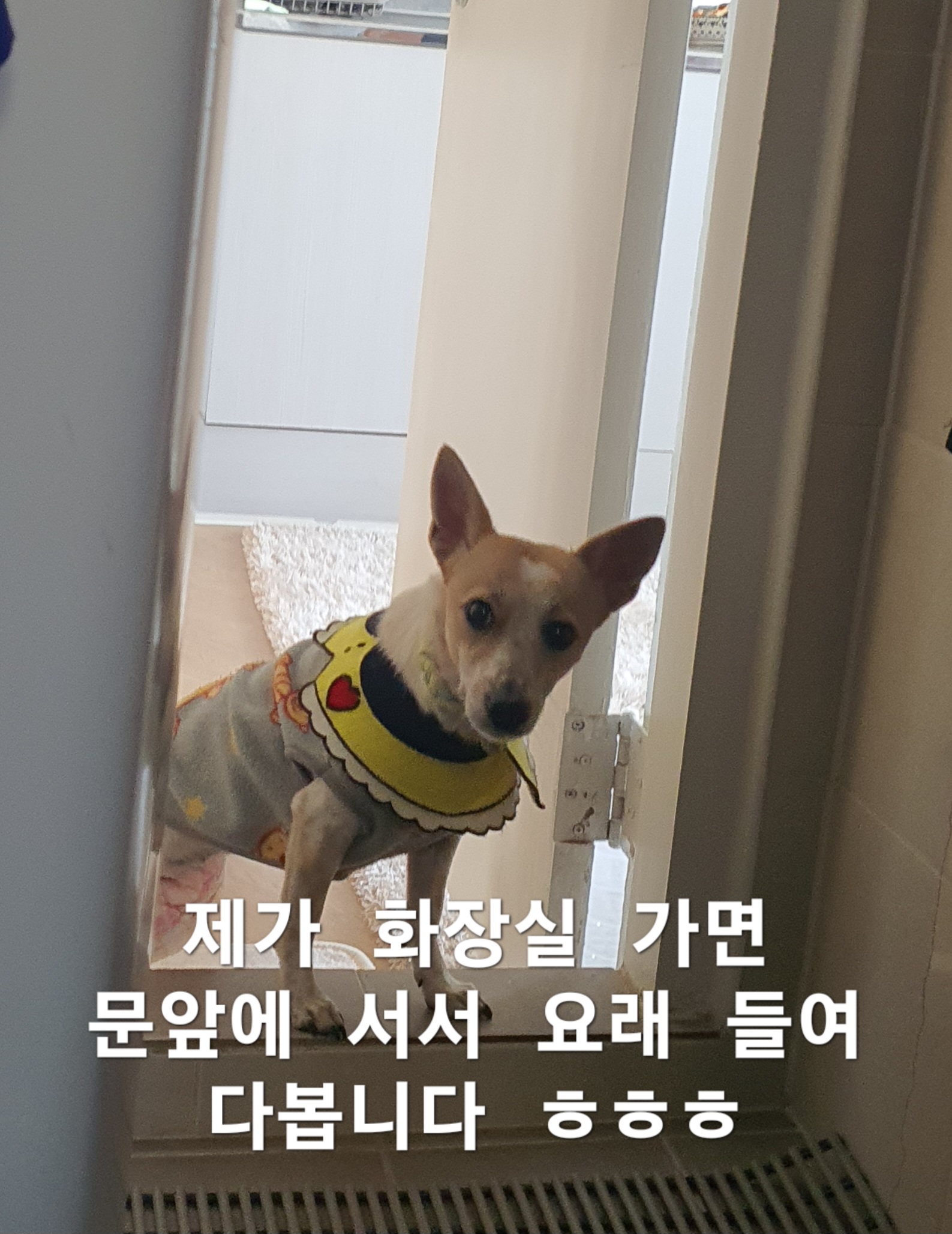 이미지 7
