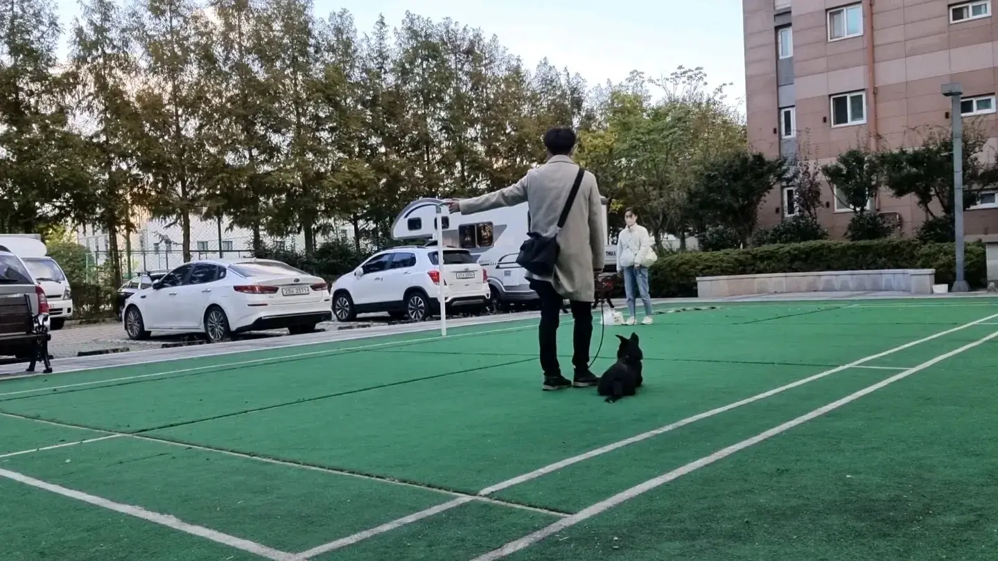 이미지 5