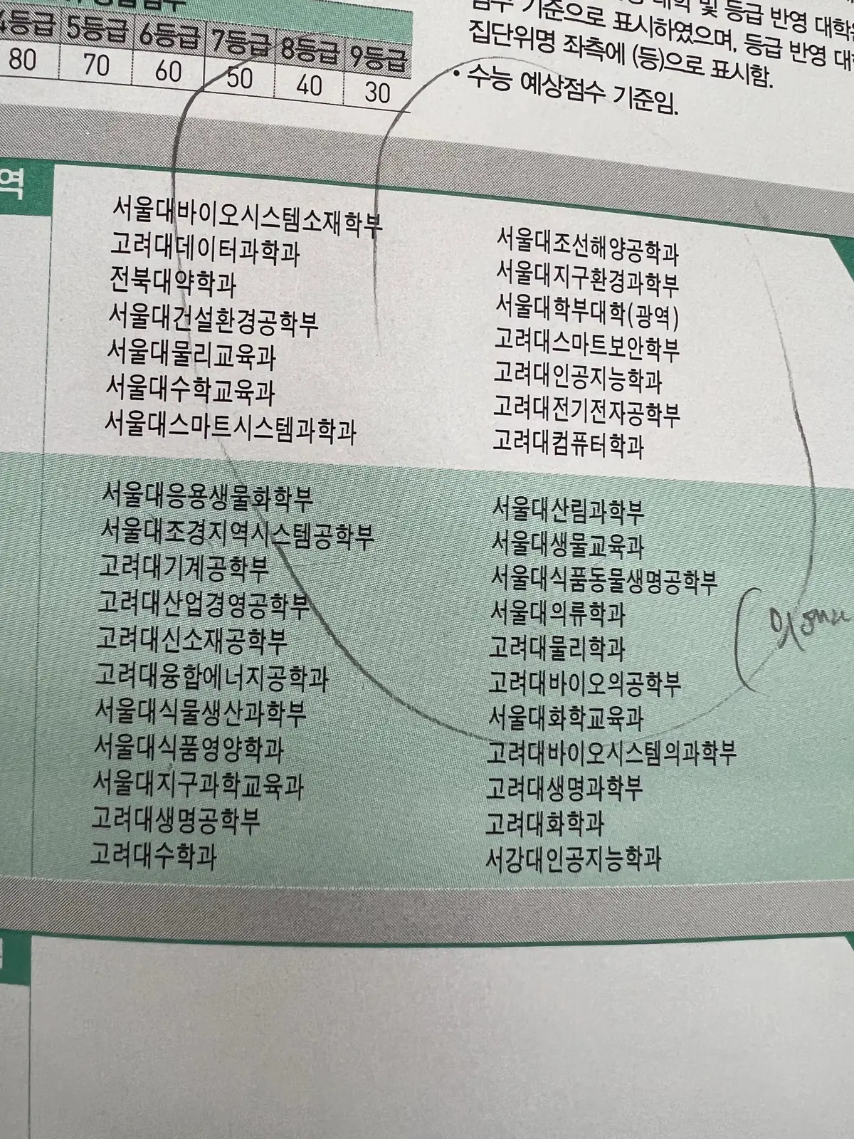이미지 5
