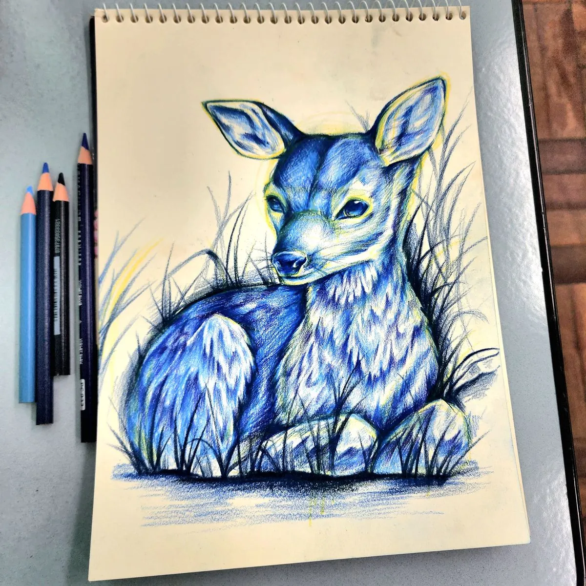 포트폴리오 이미지