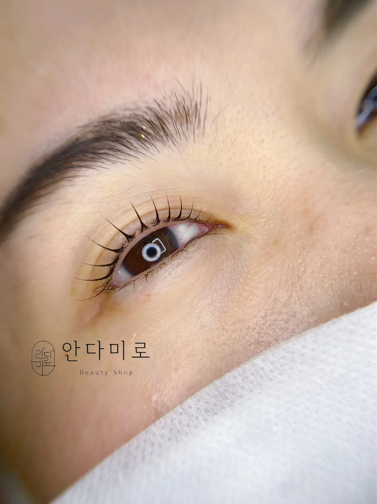 이미지 12